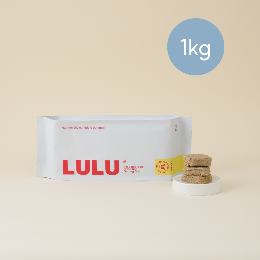 룰루키친 닭고기 화식