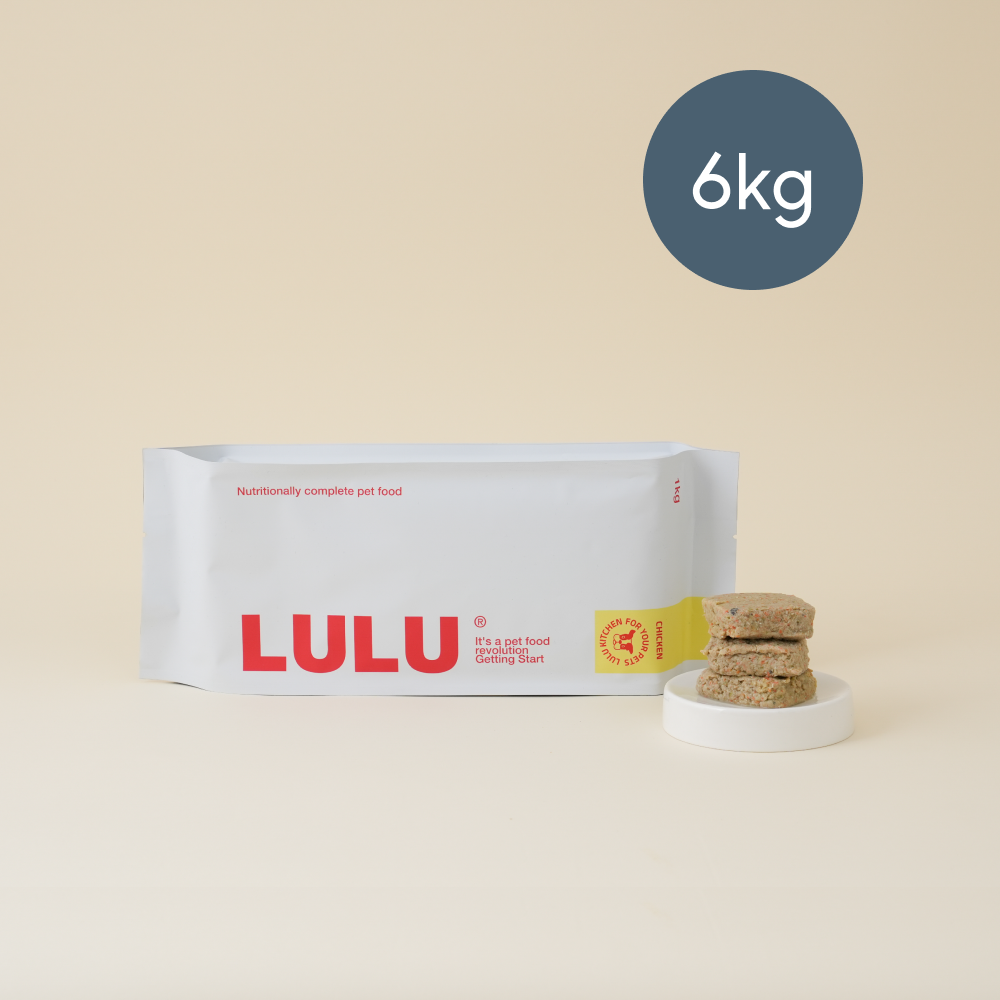 룰루키친 닭고기 화식