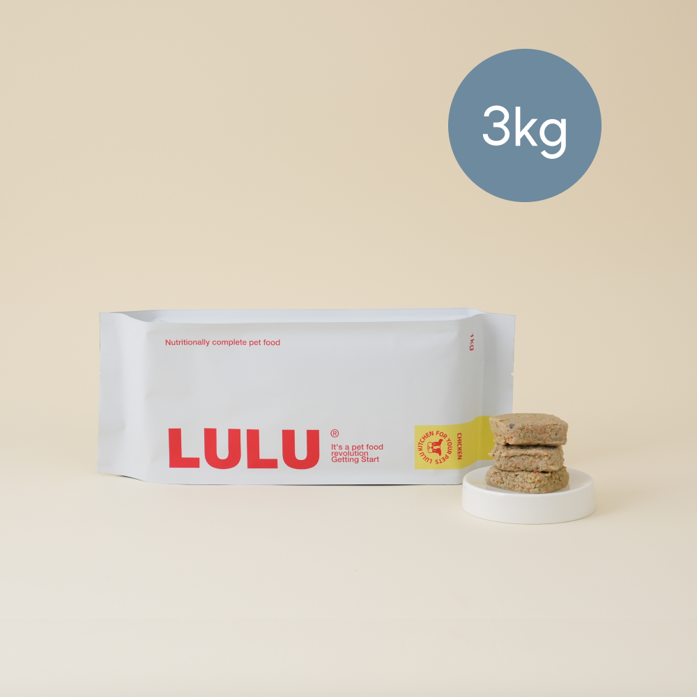 룰루키친 닭고기 화식