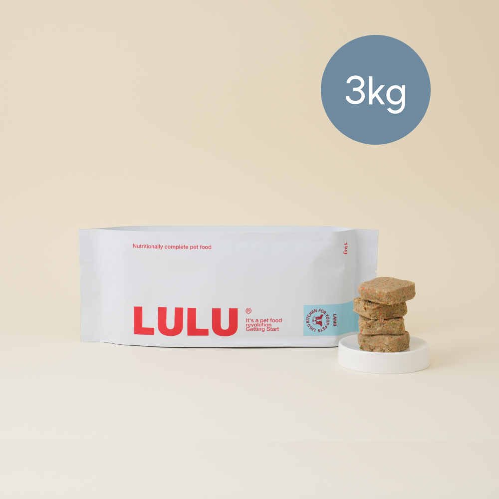 룰루키친 양고기 화식