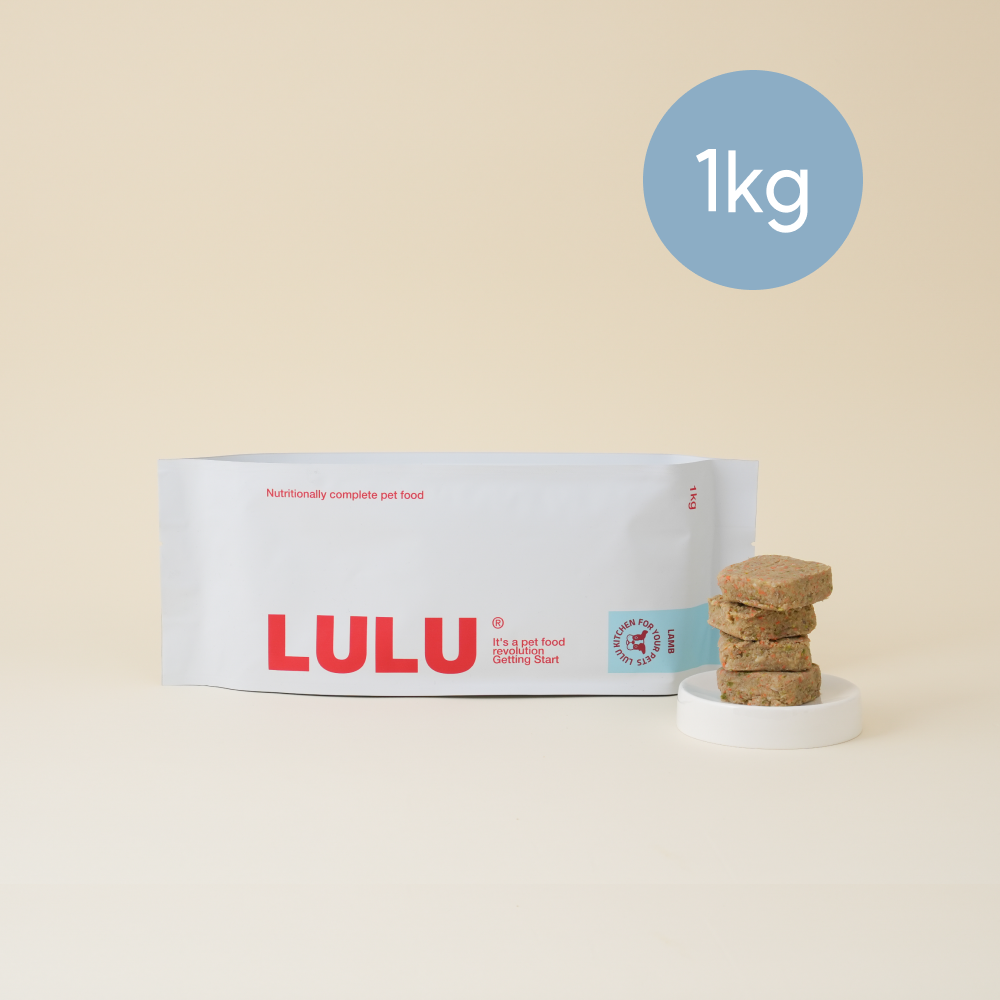 룰루키친 양고기 화식