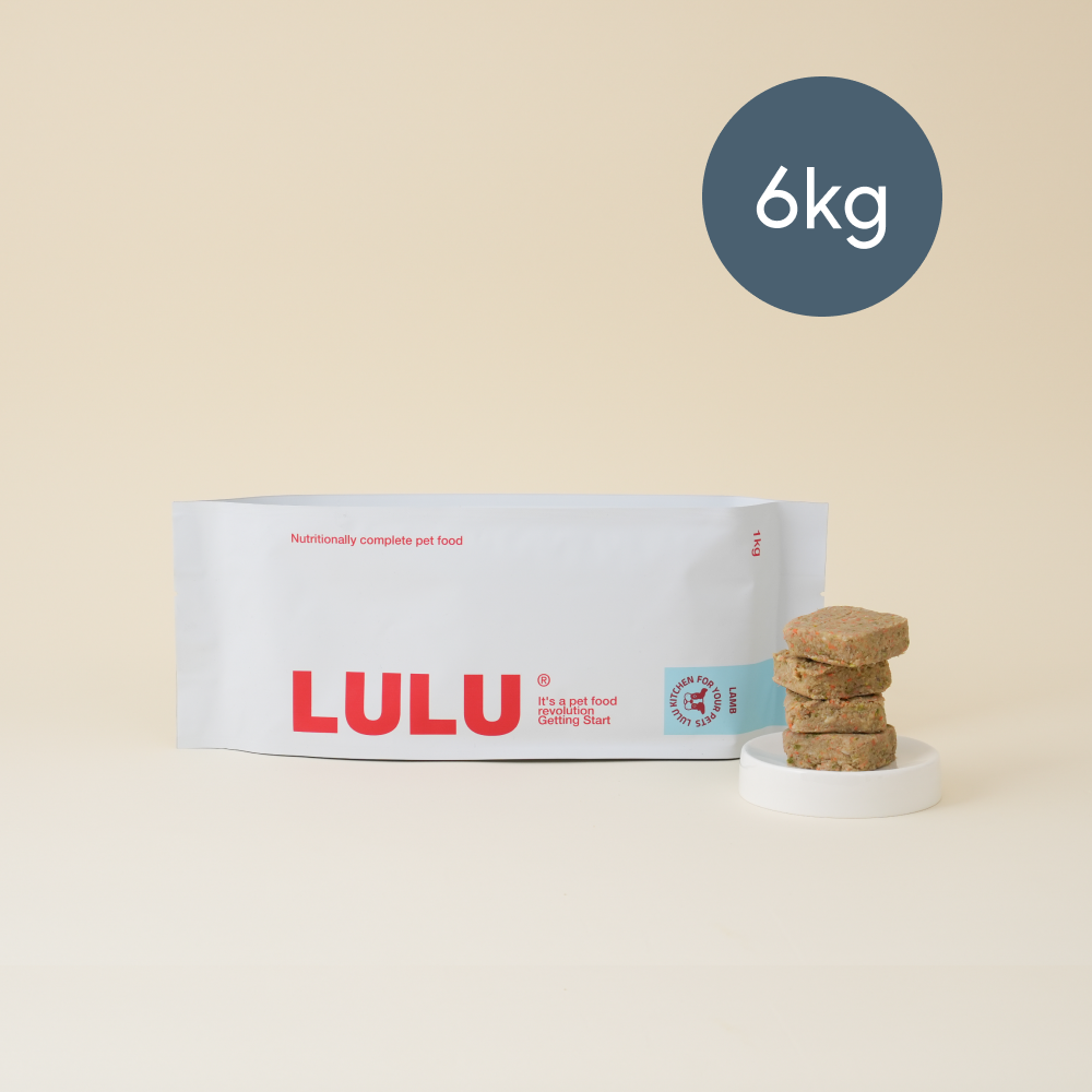 룰루키친 양고기 화식