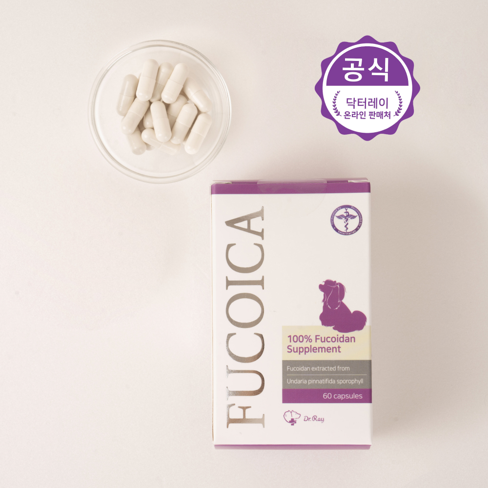 후코이카 면역증강 영양제