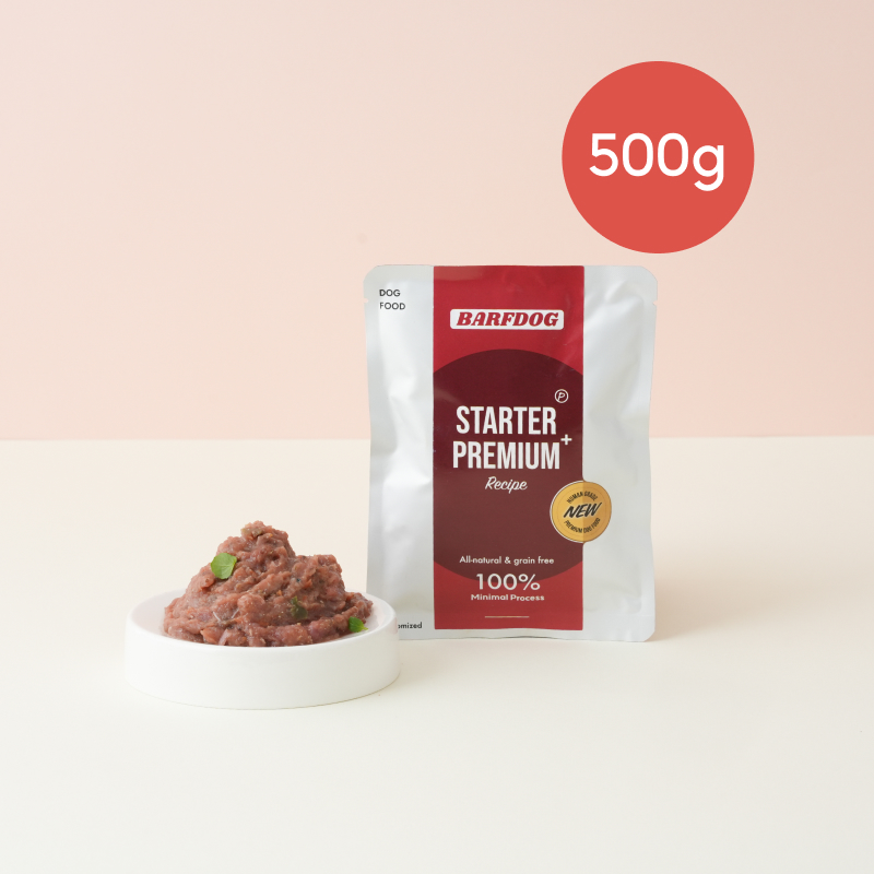 생식 스타터프리미엄+ (닭&칠면조)