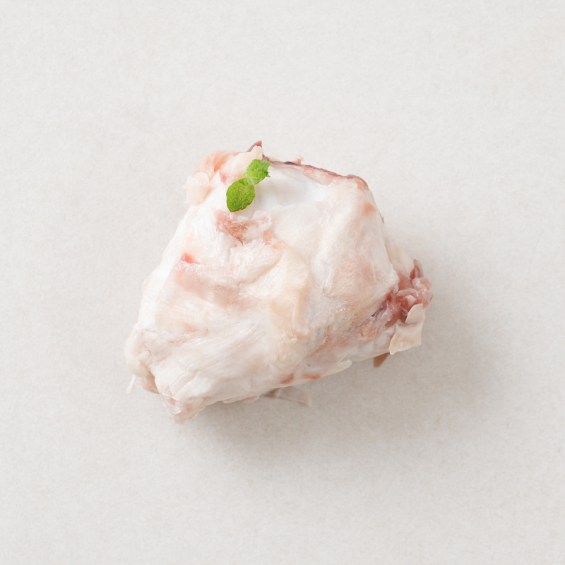 목초 사육 소 슬개골