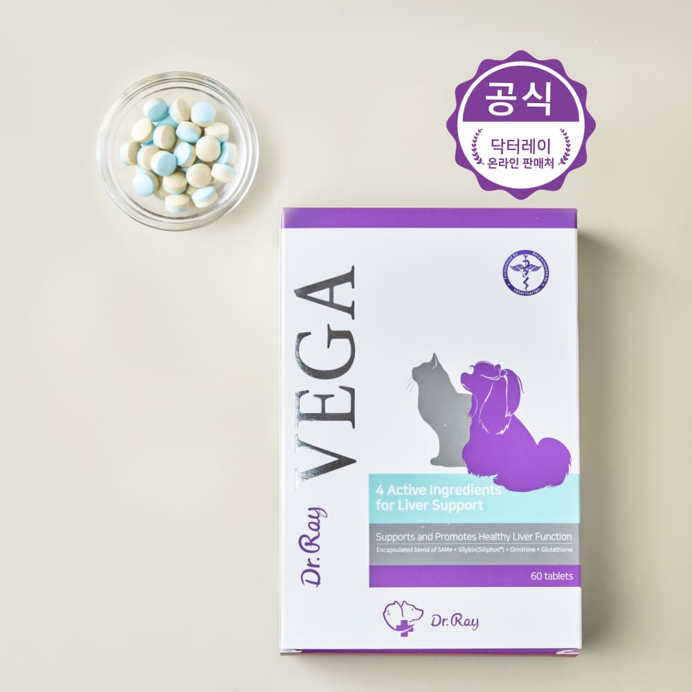 베가 간 영양제