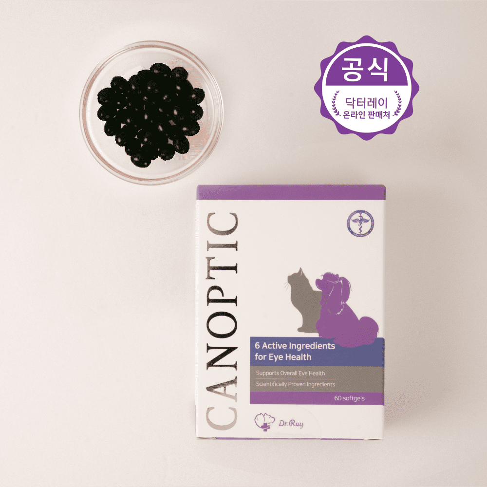 카놉틱 눈 영양제