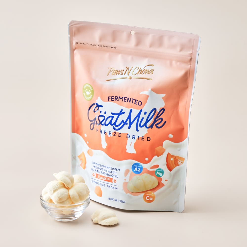 포앤츄 펌킨(단호박)