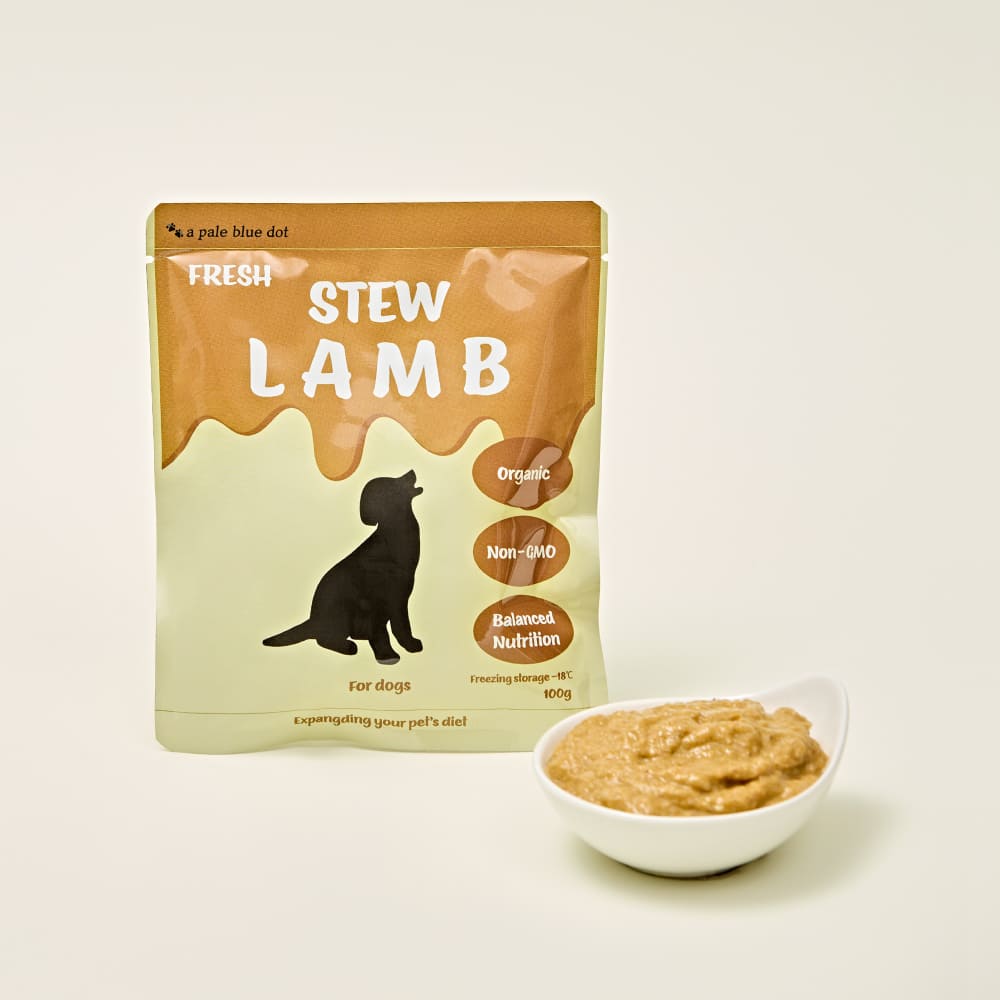 반려견 스튜 양