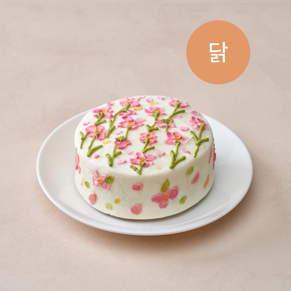 봄 케이크(닭)