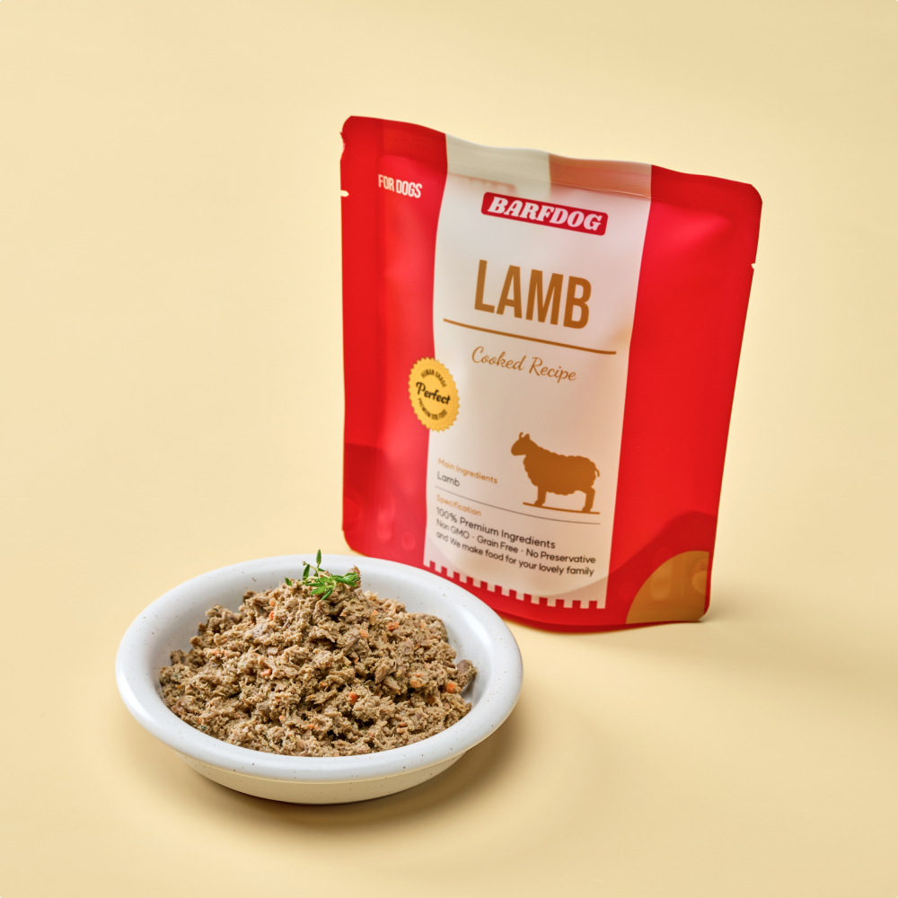 바프독 양고기 화식