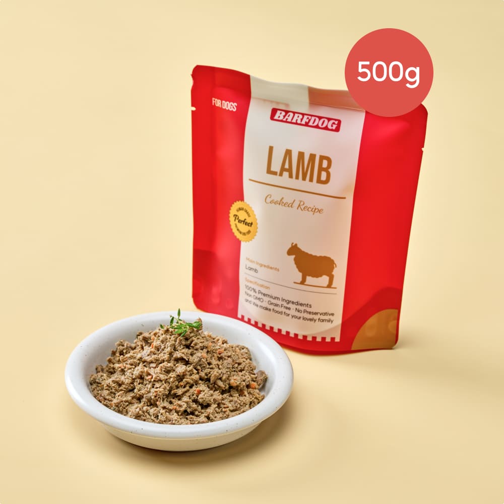 바프독 양고기 화식