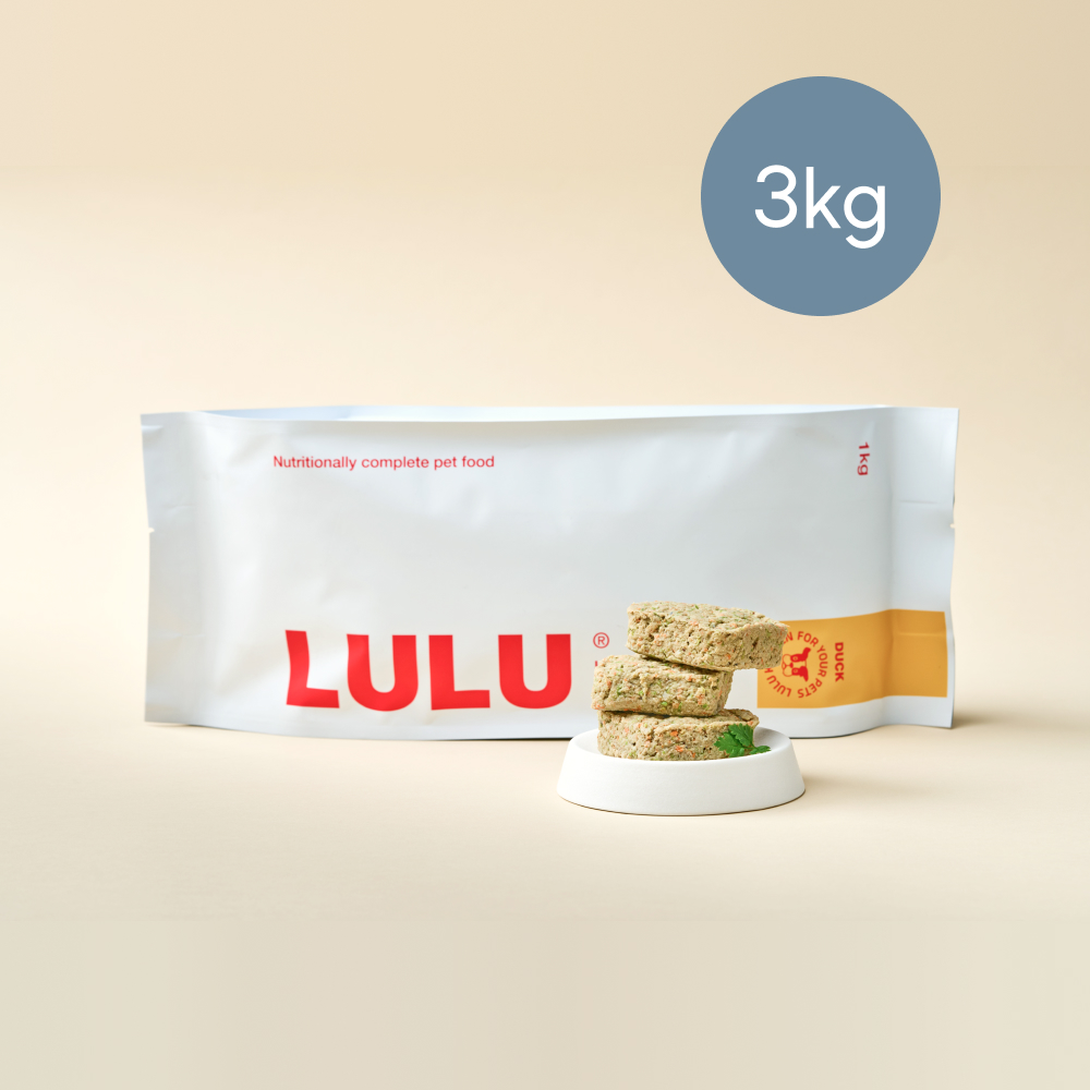 룰루키친 오리고기 화식