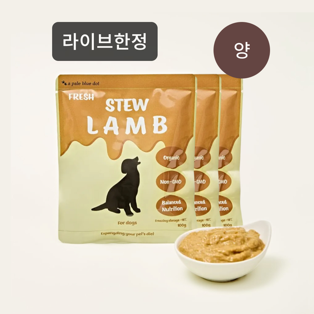 반려견 스튜 양