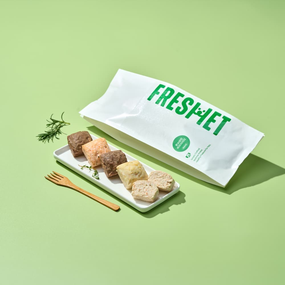 큐브테린 버라이어티