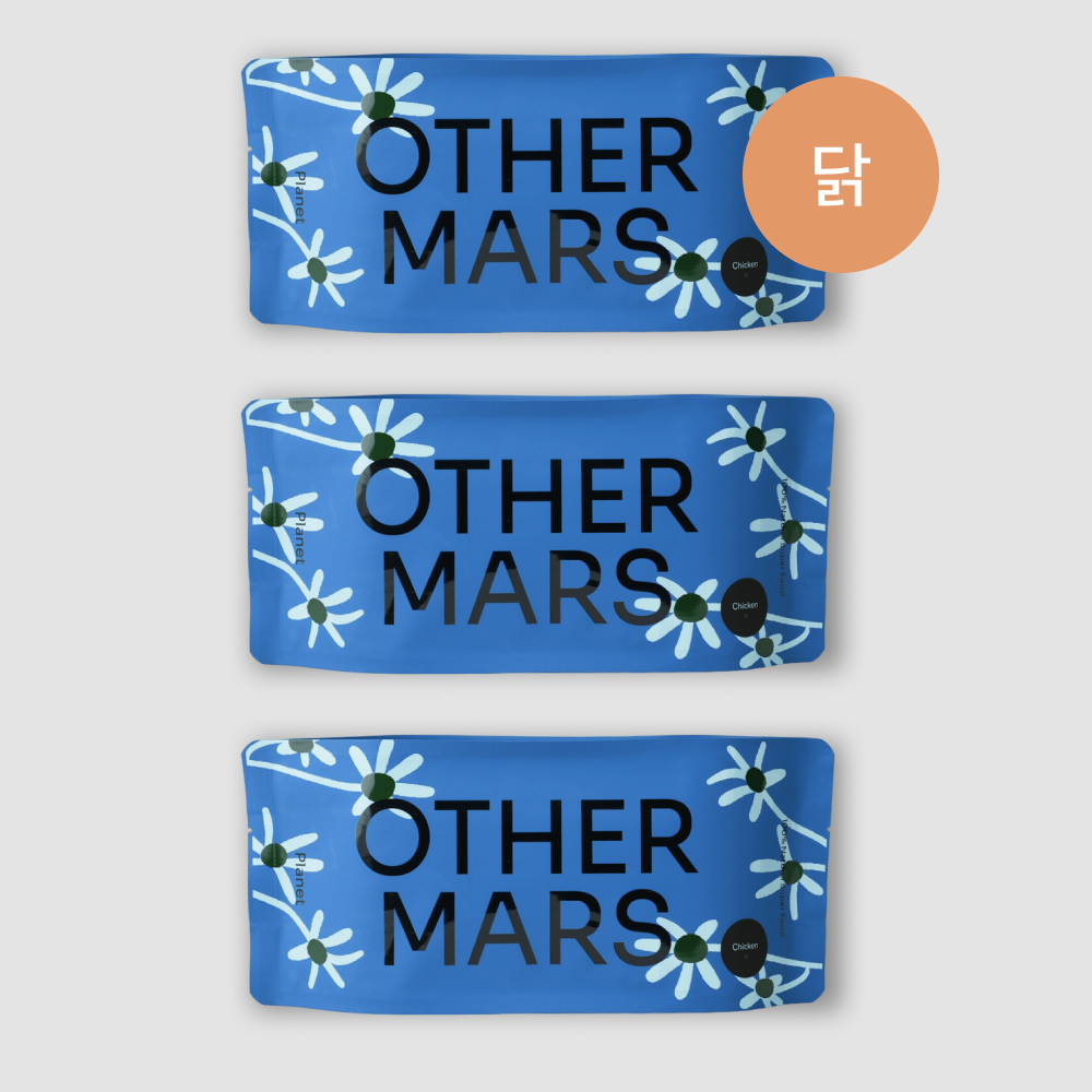 치킨 플래닛 3개 세트